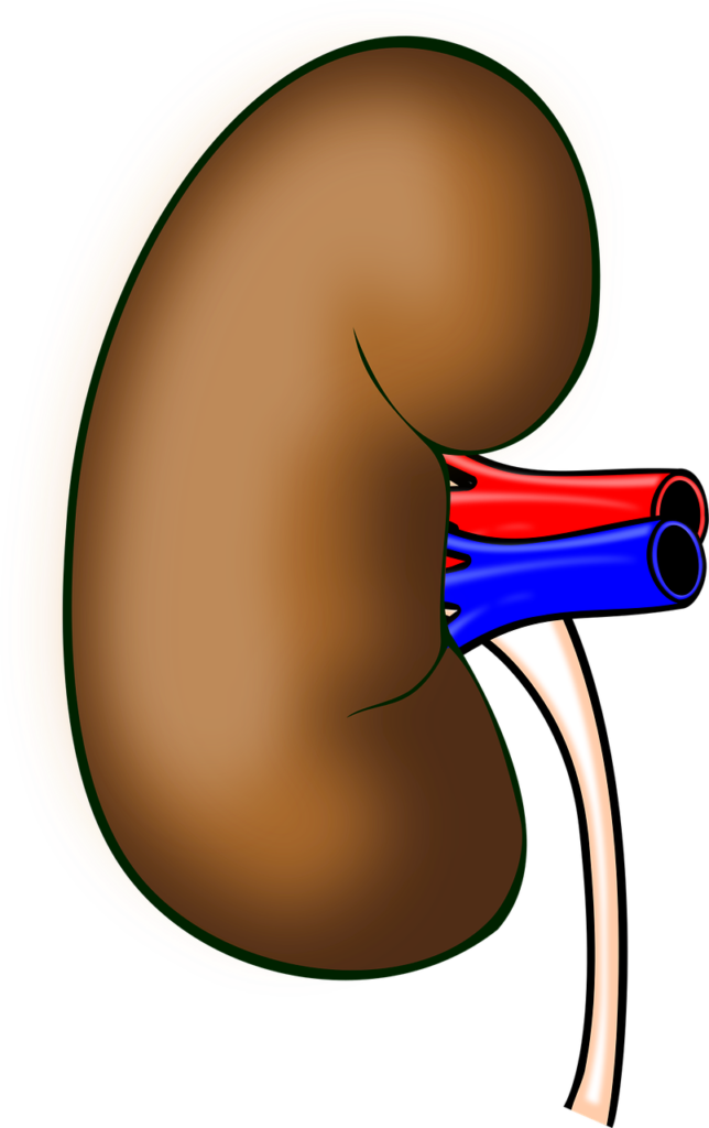 Urology Care Centre